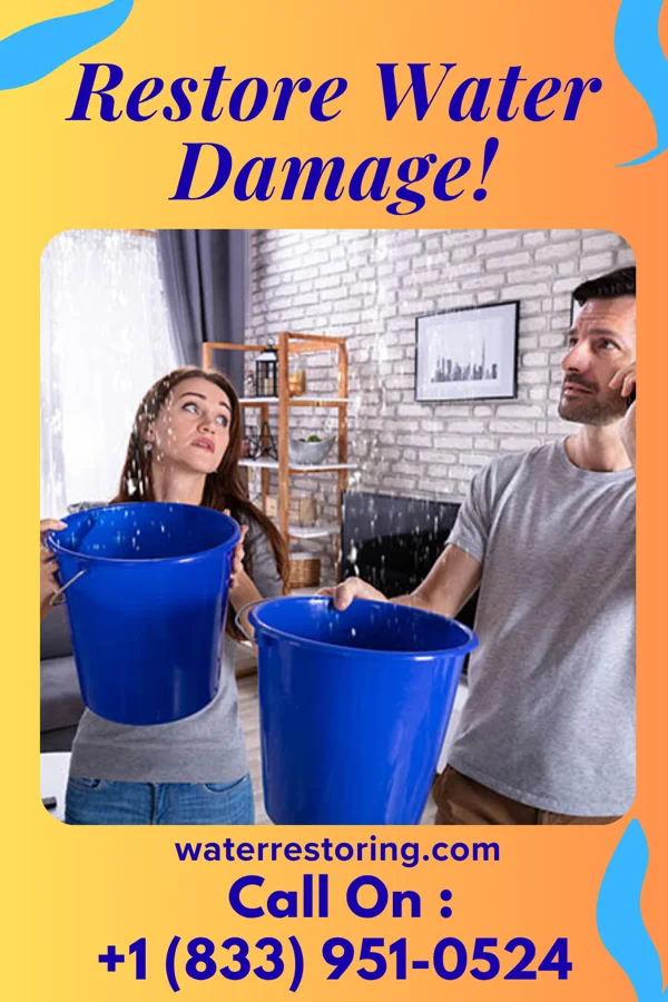 water restoration Apex Water Solutions Experts Bryn Mawr